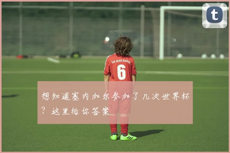 想知道塞内加尔参加了几次世界杯?这里给你答案