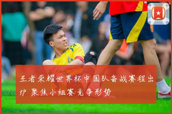 王者荣耀世界杯中国队备战赛程出炉 聚焦小组赛竞争形势