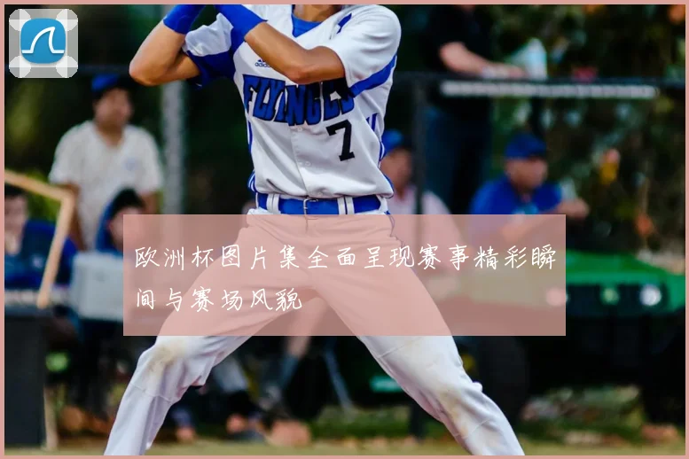 欧洲杯图片集全面呈现赛事精彩瞬间与赛场风貌