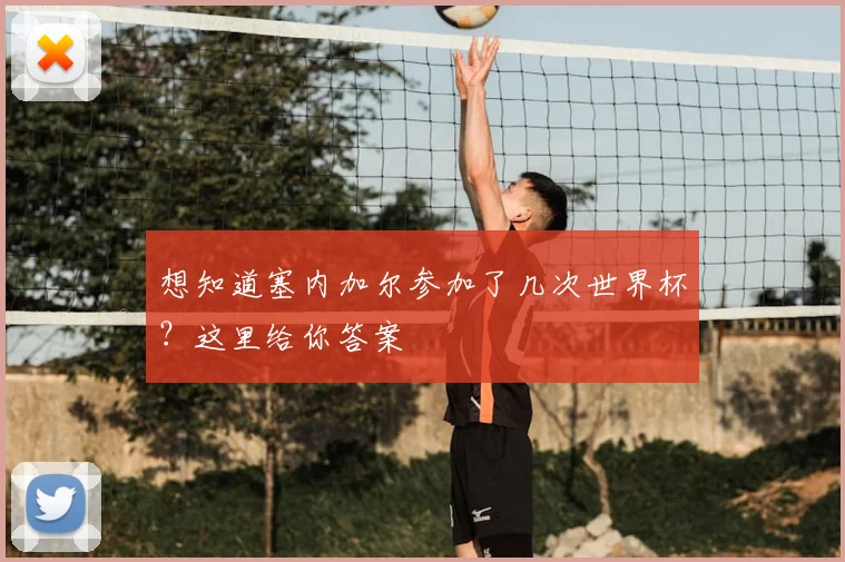 想知道塞内加尔参加了几次世界杯？这里给你答案