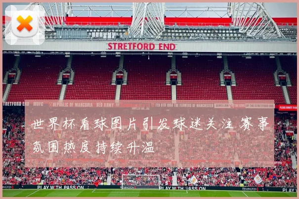 世界杯看球图片引发球迷关注 赛事氛围热度持续升温